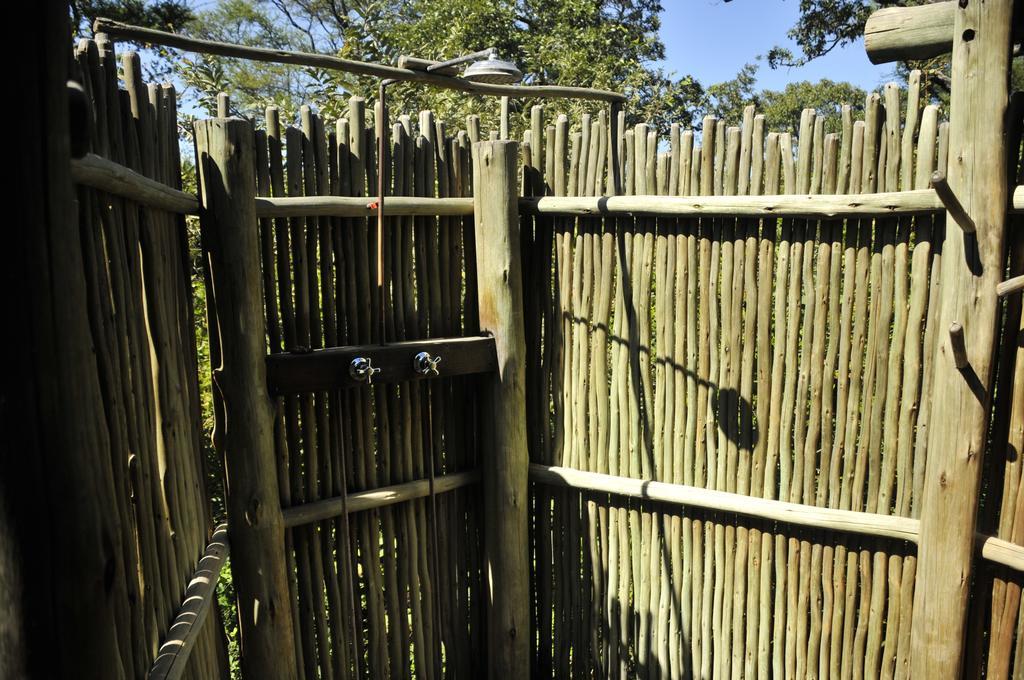 Royal Tree Lodge マウン 部屋 写真