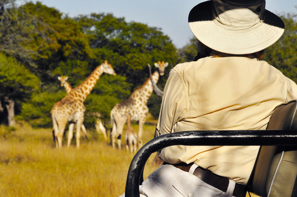 Royal Tree Lodge マウン エクステリア 写真